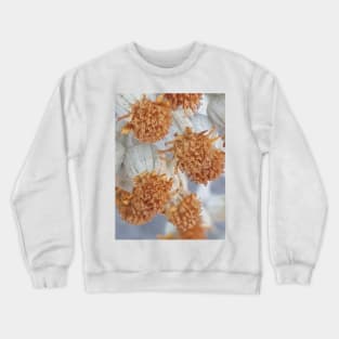 Unique White Bunch Flower Photography My Crewneck Sweatshirt